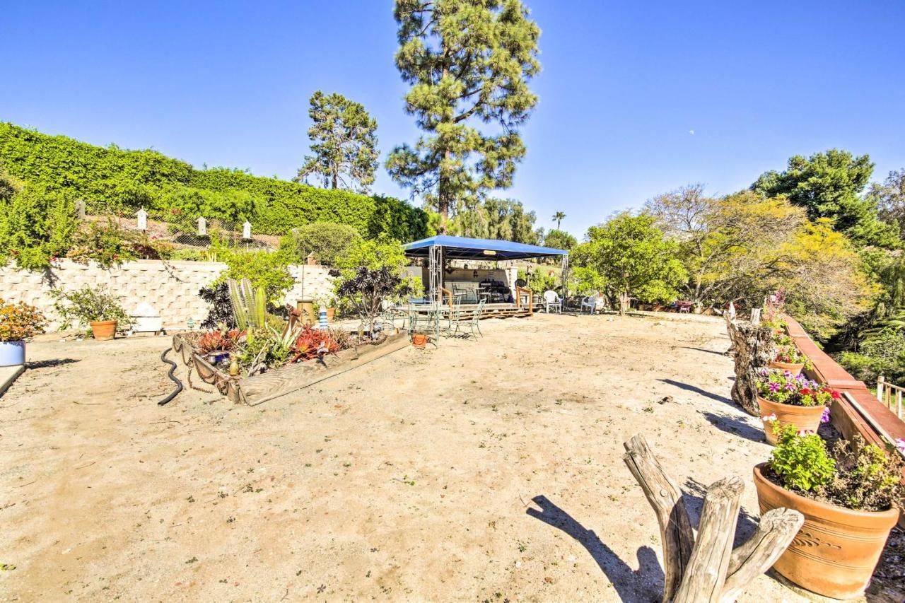 Sunny Bonita Studio About 5 Mi To Historic Dtwn! ภายนอก รูปภาพ